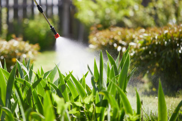 24/7 Emergency Mosquito Control experts in Frenchtown, MT